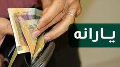 اعطای کارت اعتباری یارانه به افراد کم درآمد / واردات کالاهای اساسی با  ارز نیمایی
